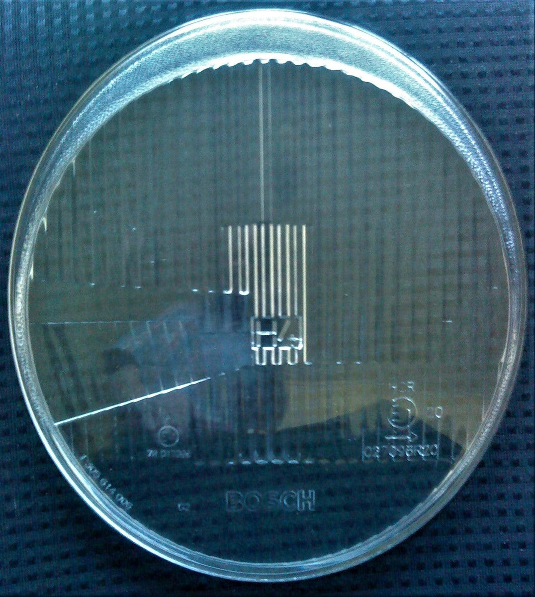 Audette Collection BOSCH Logo H4 Headlights AC EXCLUSIVE Audette