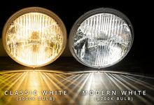 Load image into Gallery viewer, NEW! AC Vintage Bright™ LED Series